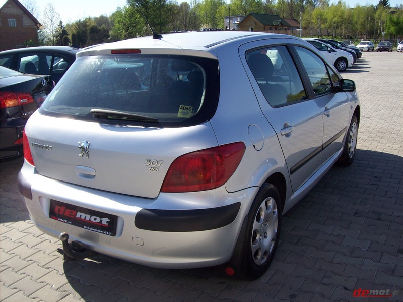 Demot.pl Peugeot 307